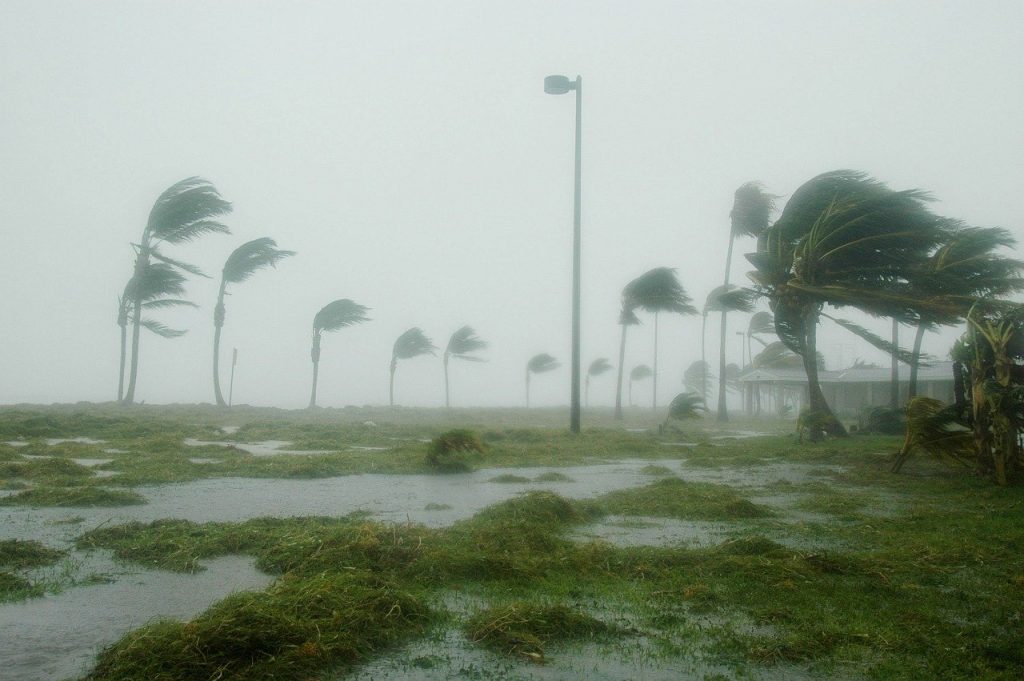 ¿Cuál es el impacto del cambio climático en las tormentas tropicales? 